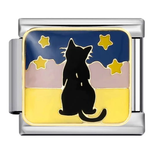 Cat in night