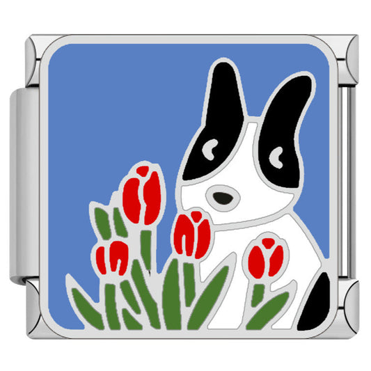 Dog and Tulip